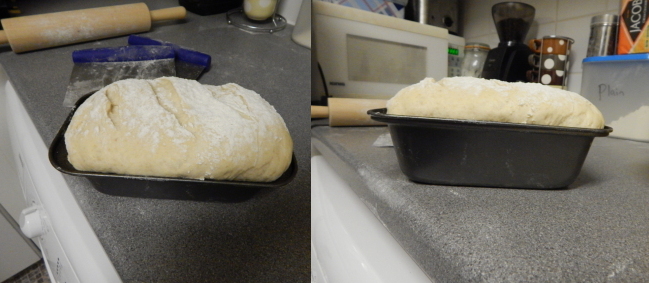 Doubled in volume while the two pizzas were made. The loaf is good and light and ready for its go in the oven.