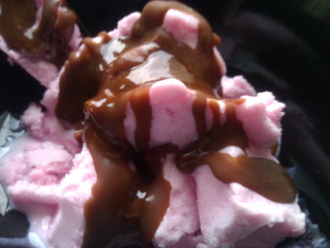 Chocolate sauce on frozen yoghurt